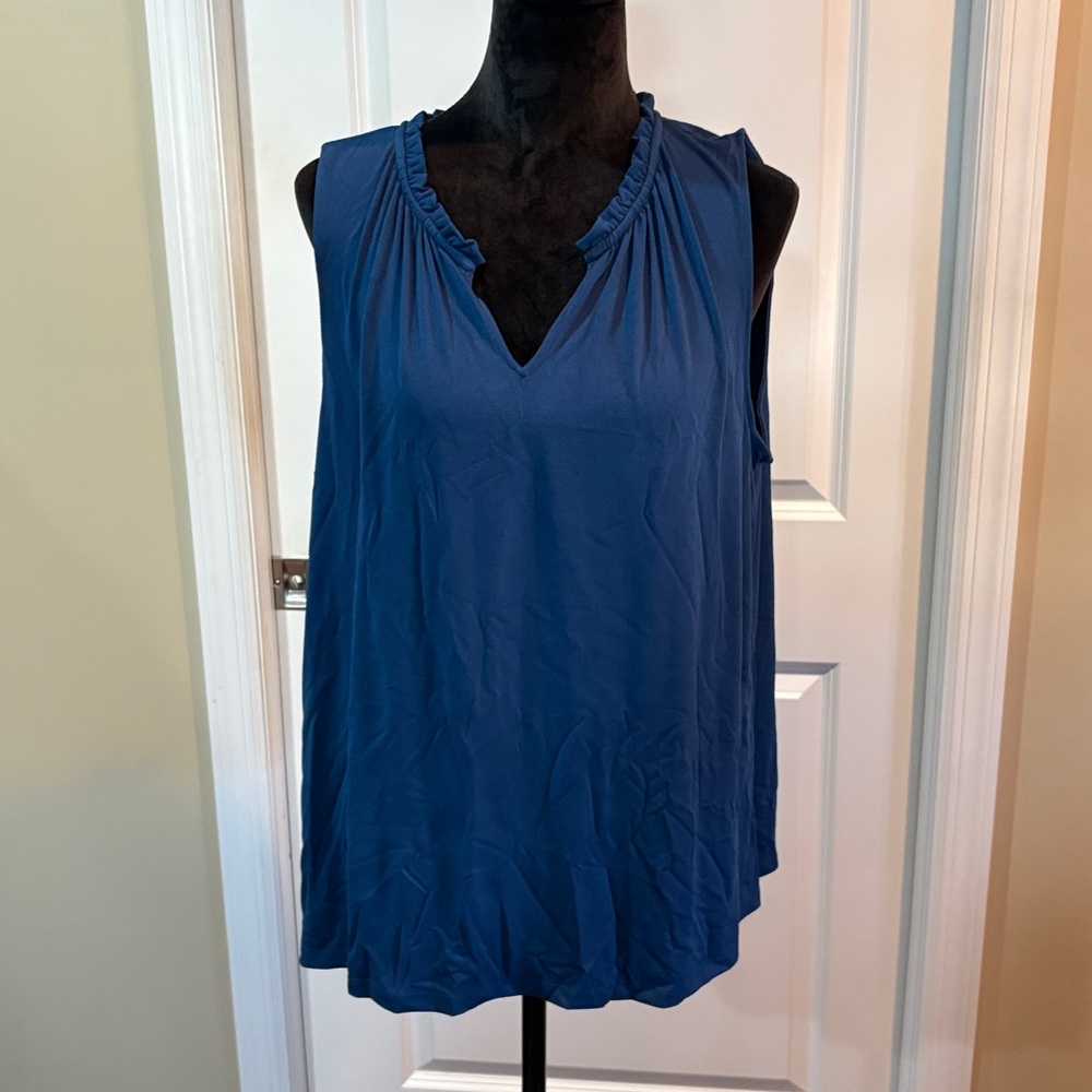 Banana Republic Blue Ruffled Top